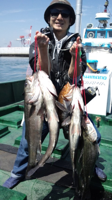 本日の釣果 いわき小名浜沖防波堤釣り情報ー小國丸ー